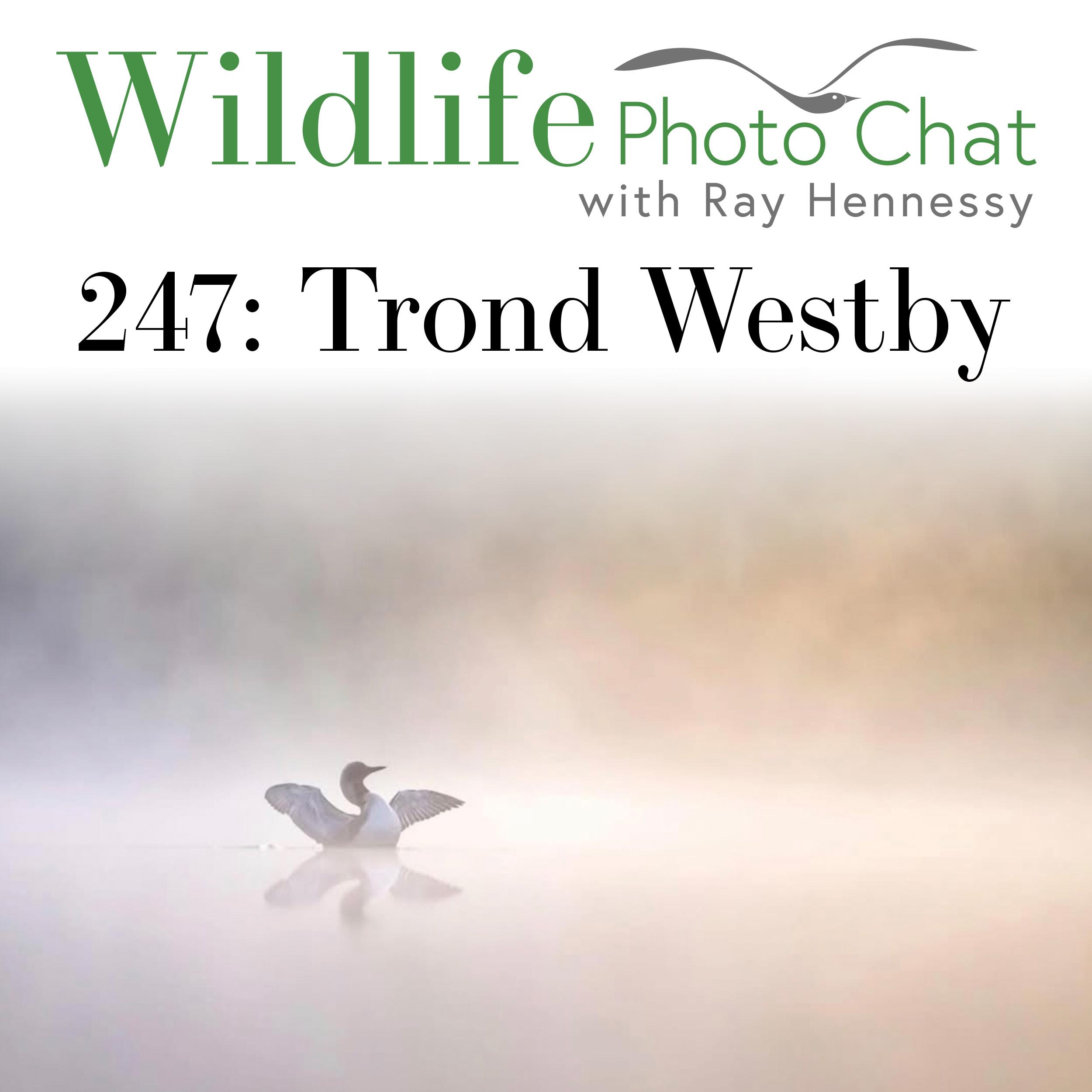 247: Trond Westby