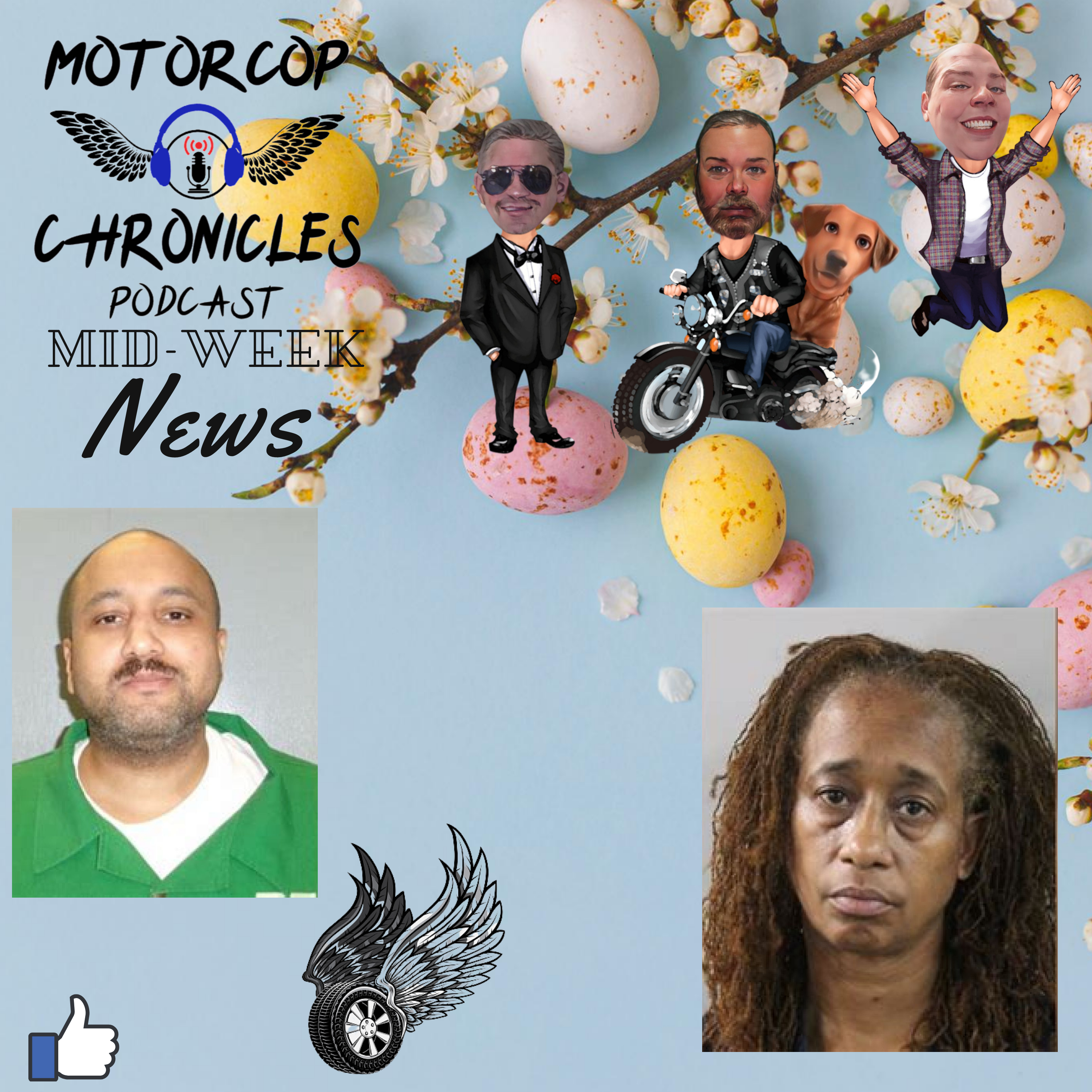 Forked on a Plane, ATV Hit & Run, Illegal Ants
