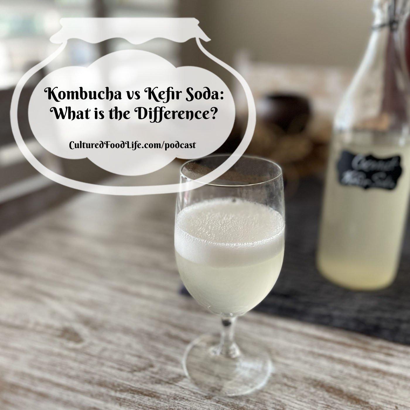 Episode 273: Kombucha vs Kefir Soda: What is the Difference?