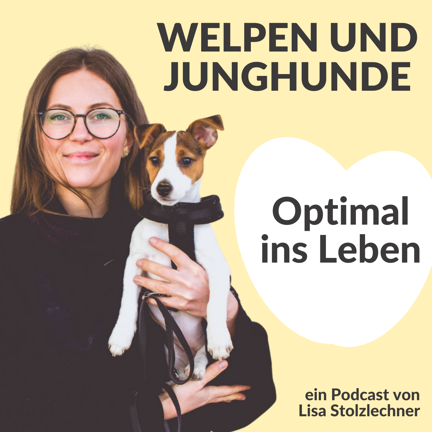 Optimal ins Leben! Welpen und Junghunde