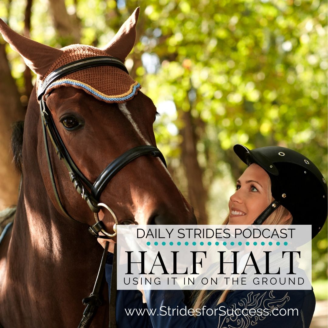 Your Half Halt on the Ground with Your Horse
