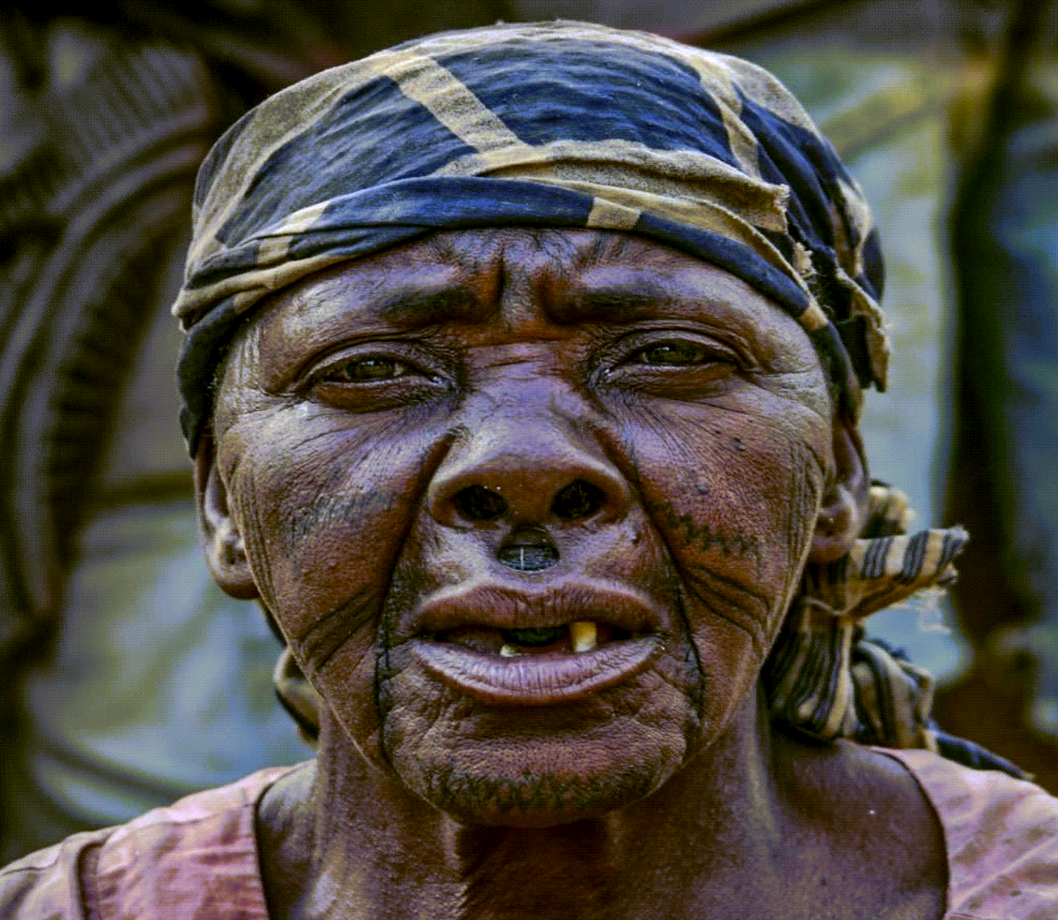 Adventure With Africa Kenya Safaris