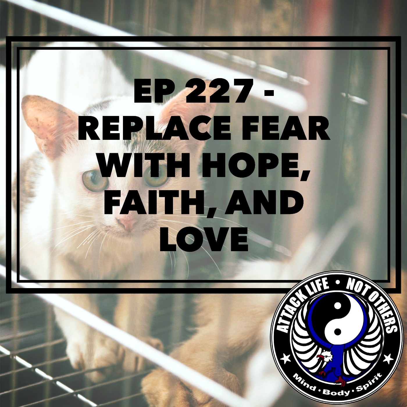 Ep 227 - Replace Fear with Hope, Faith, and Love