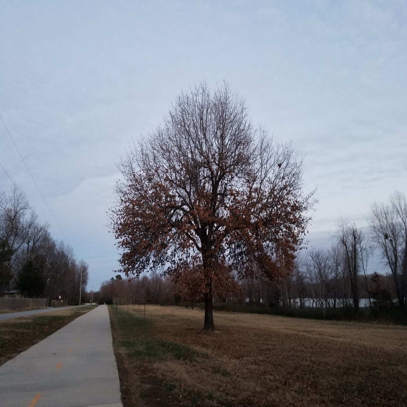 RAF013: Working Through the Cedars