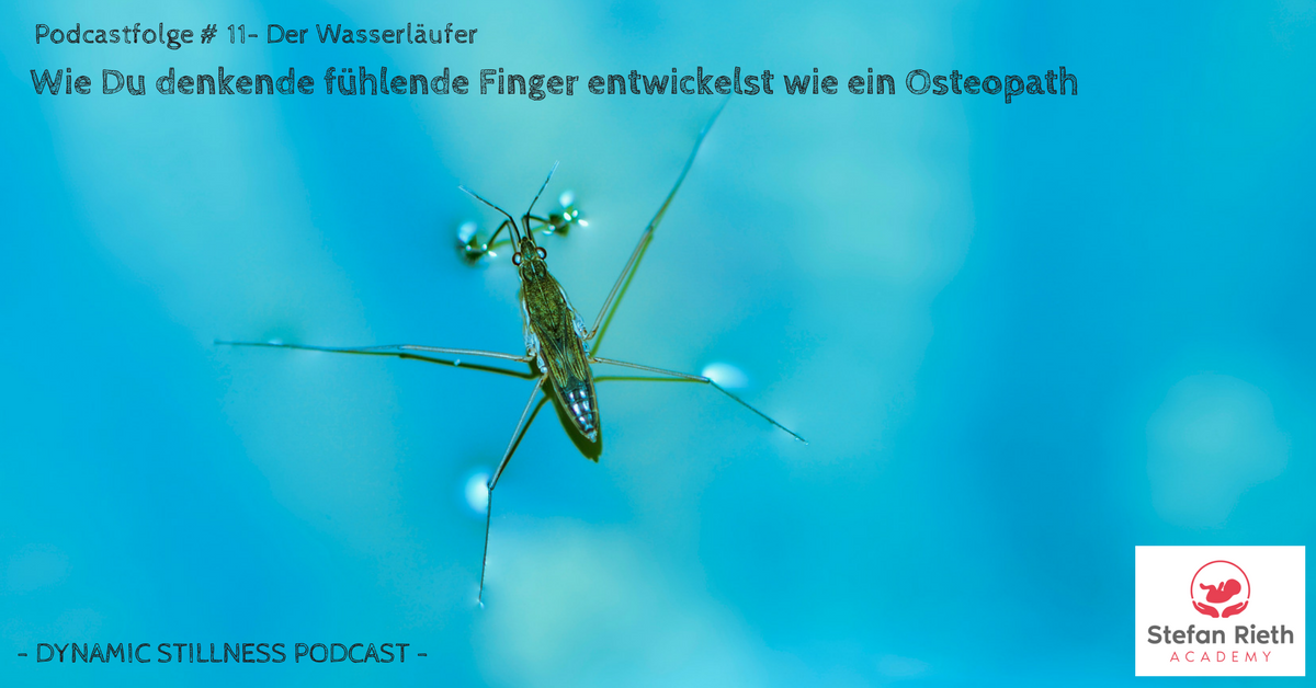 Stefan Rieth Podcast  - Einblicke in Neurozentrierte neuroaffektive Berührung