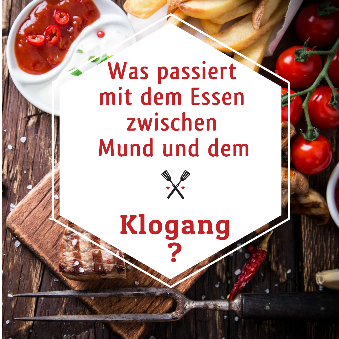 Wunderwelt Körper