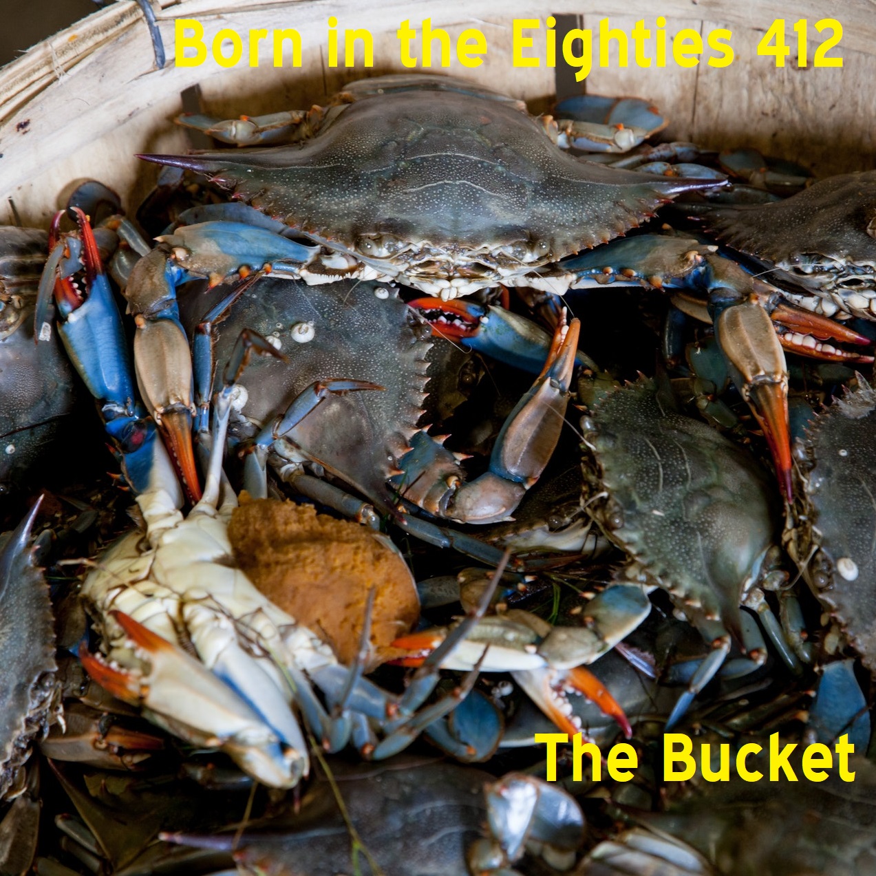 Born in the Eighties 412: The Bucket