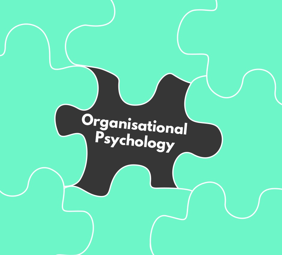 What Organisational Psychologists Do and Why You Should Care