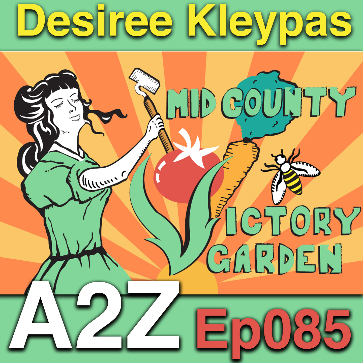A2Z Podcast