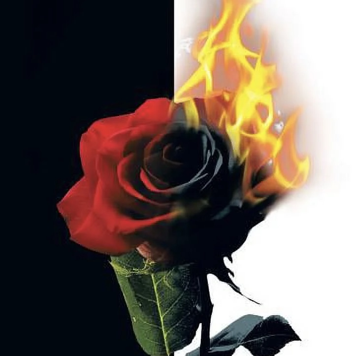 Jishu - Chapter 14 - Rinzairoku