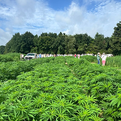 Industrial Hemp Podcast