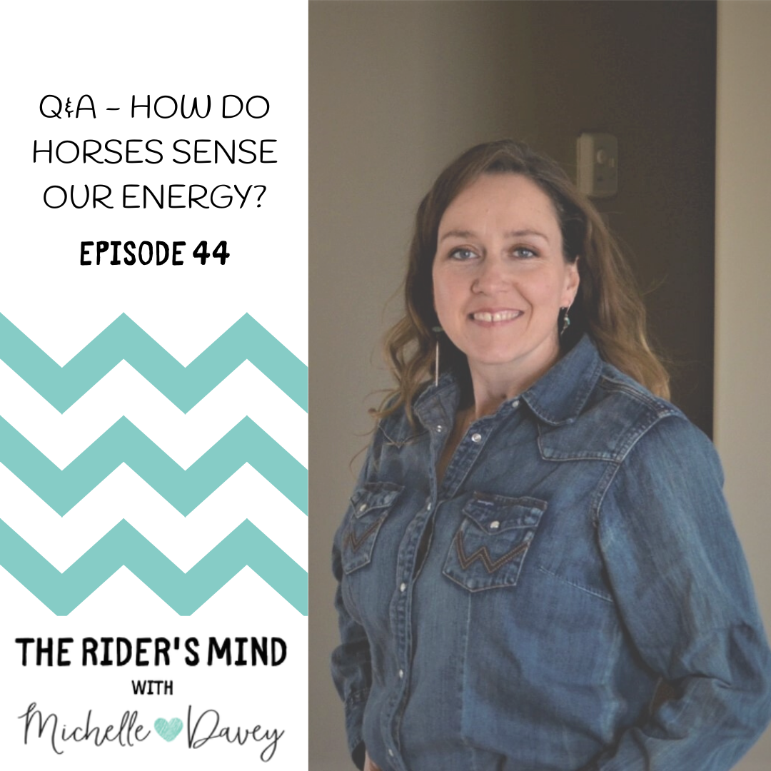 Ep. 44: Q&A - How do horses sense our energy?
