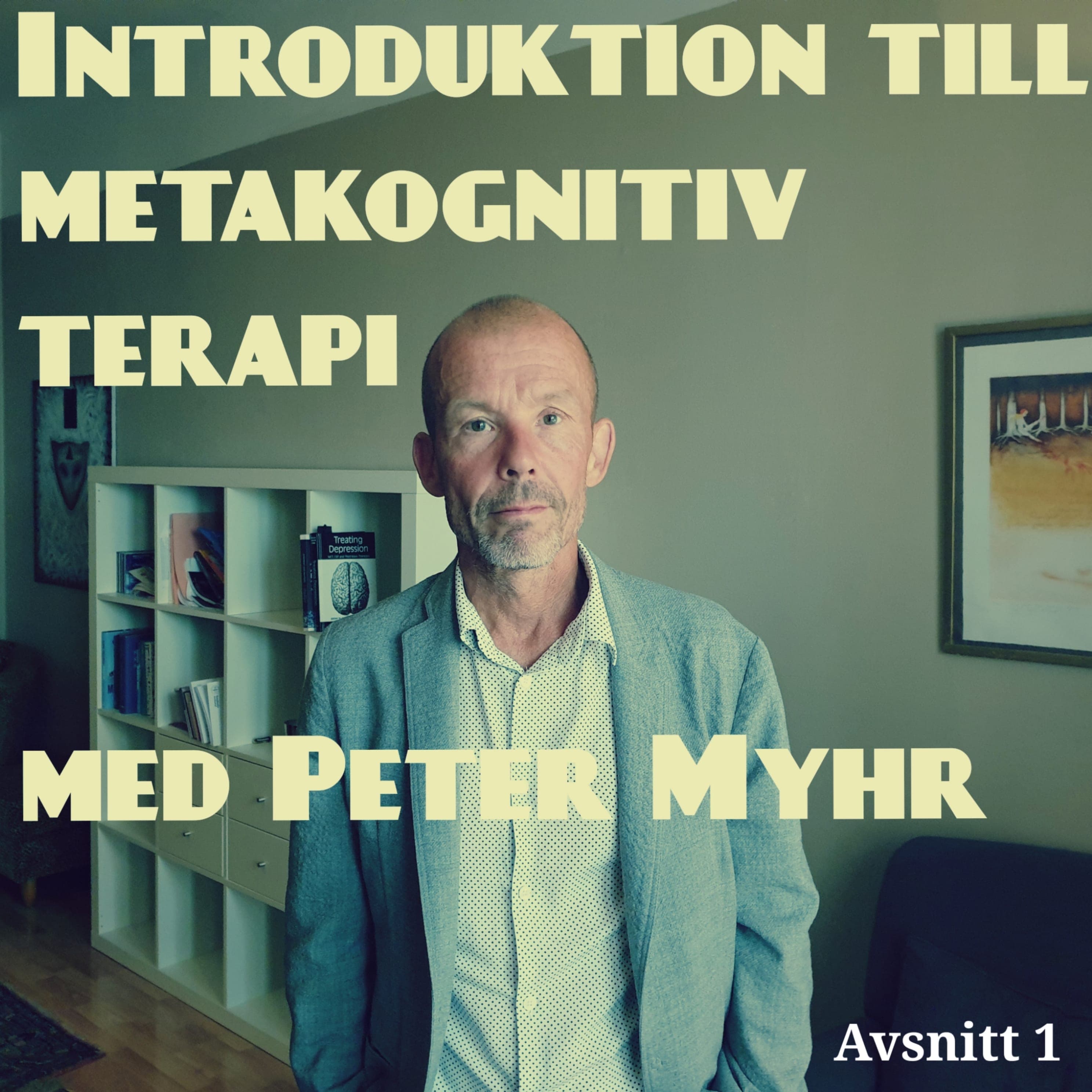 Metakognitiva podden