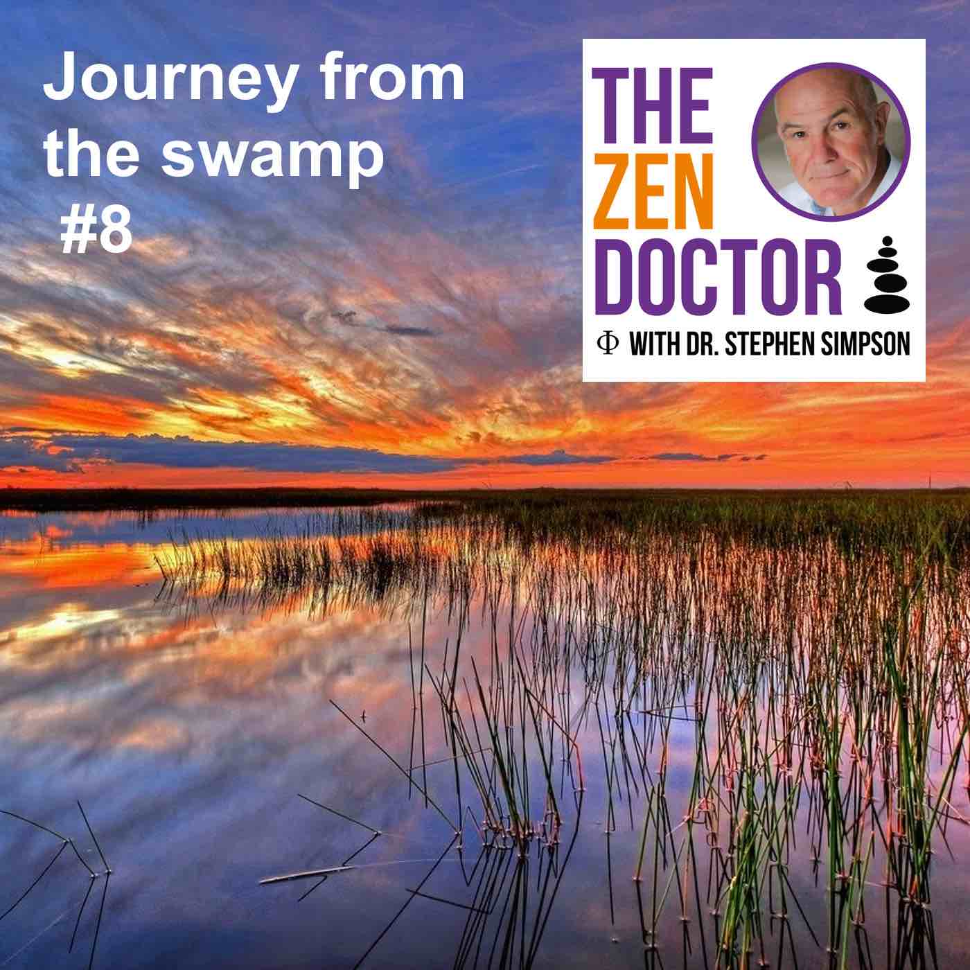 Journey from the swamp #8