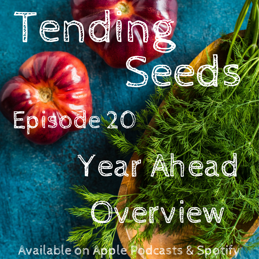 Tending Seeds: Adventures in Gardening, Homesteading, and Herbalism