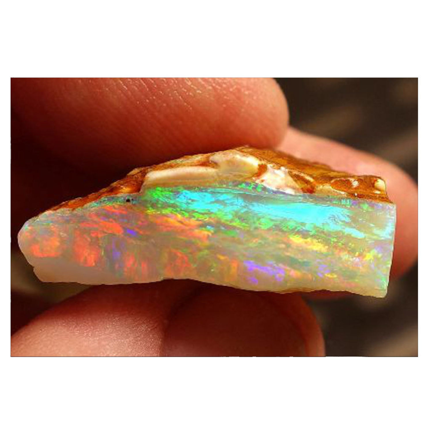 How Does Your Opals Grow?