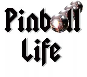 Episode 4 - Terry DeZwarte - Owner Pinball Life