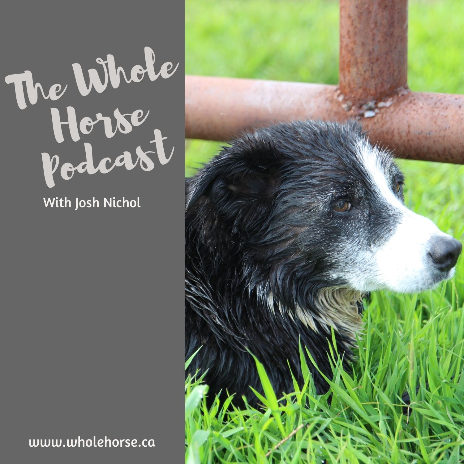 The Whole Horse Podcast with Alexa Linton