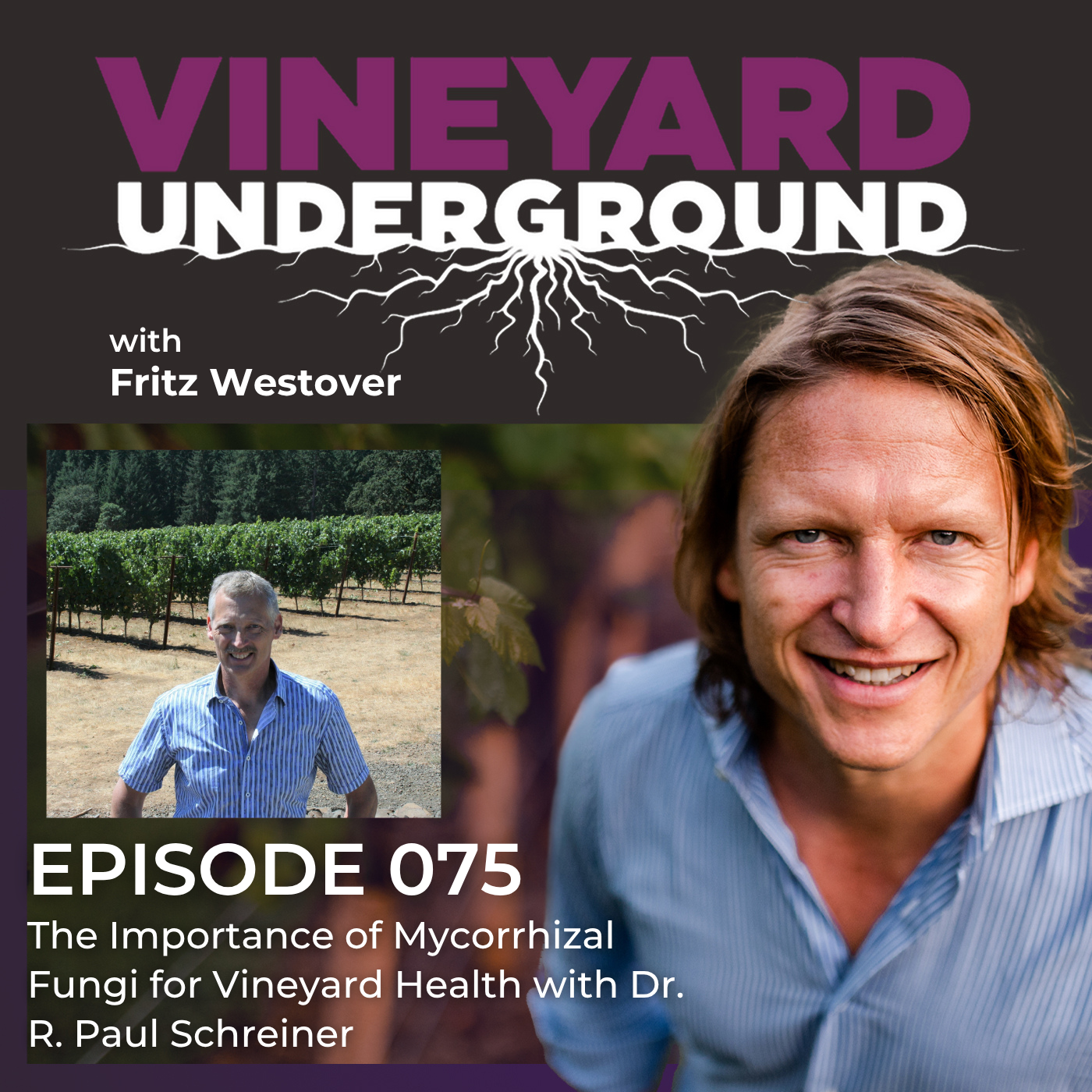 Vineyard Underground