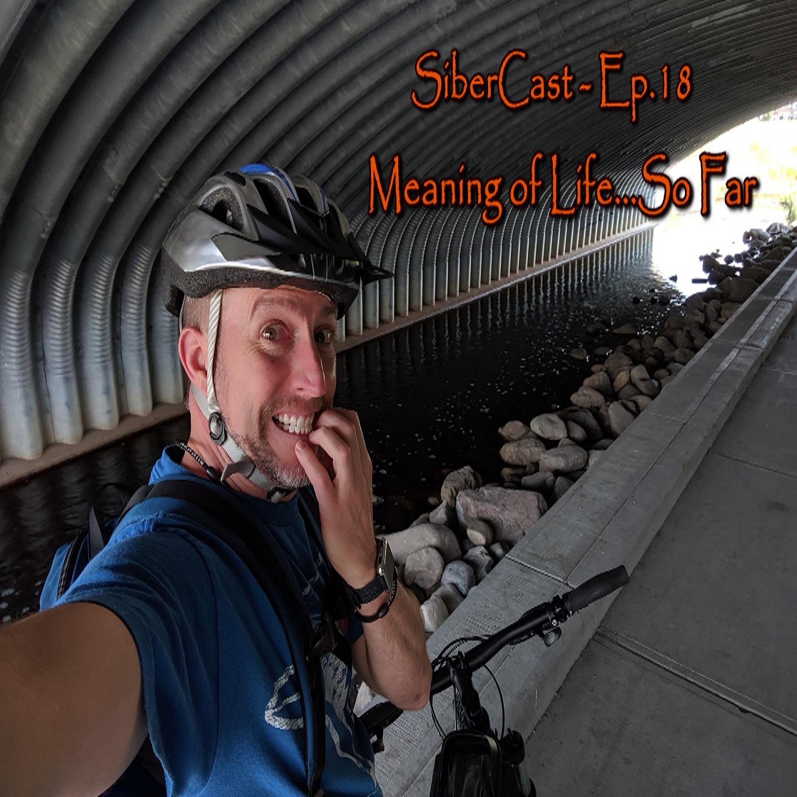 SiberCast - Ep.18 - Meaning of Life...So Far