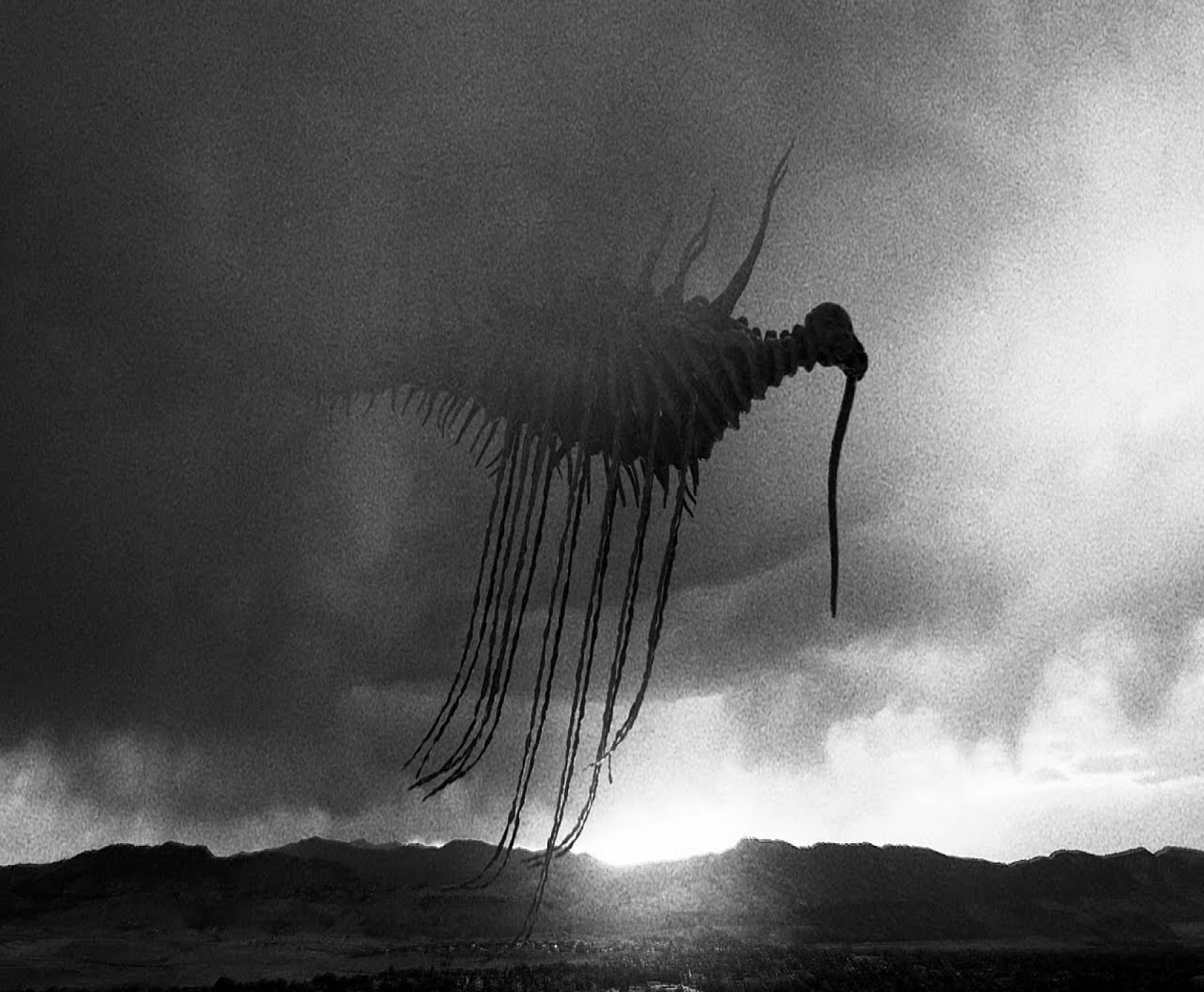 cover of episode (VIDEO) ENTERTAINING SHORT FILMS: QUIET APOCALYPSE