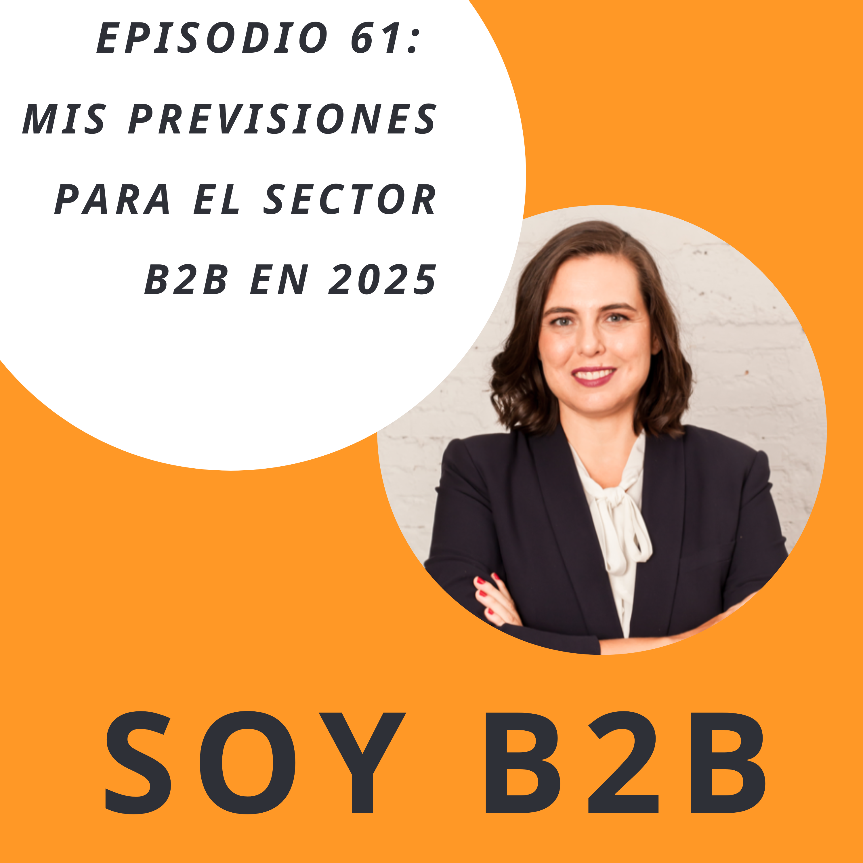 Soy B2B