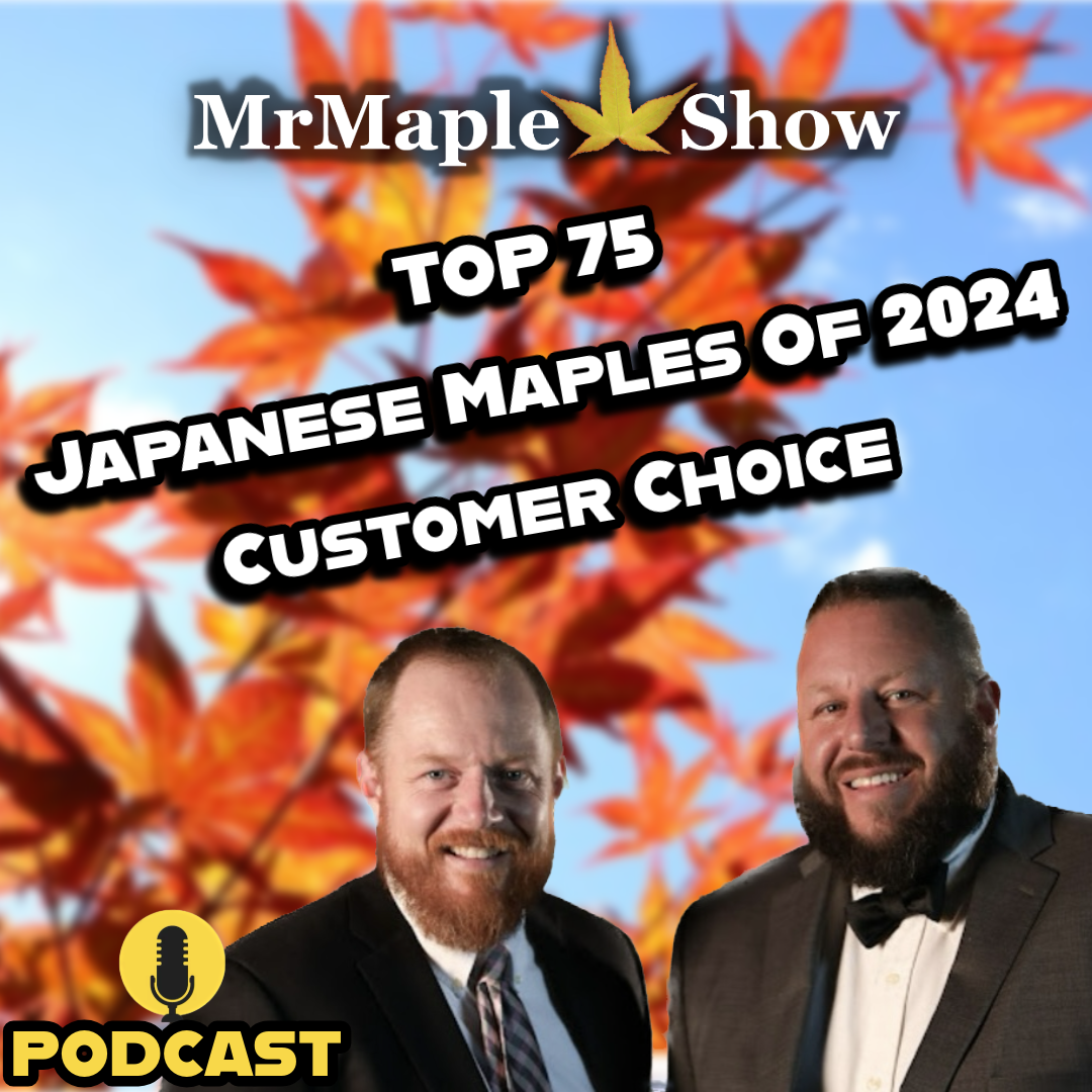 MrMaple Show