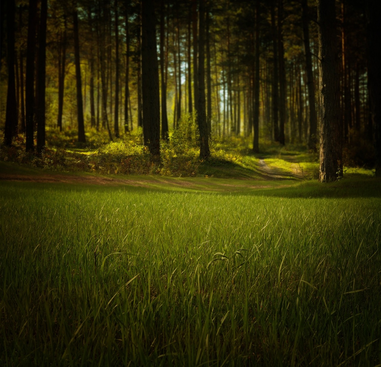 Guided Meditation: LET GO of Anxiety, Fears and Worries - Binaural Beats, Theta Sound Healing