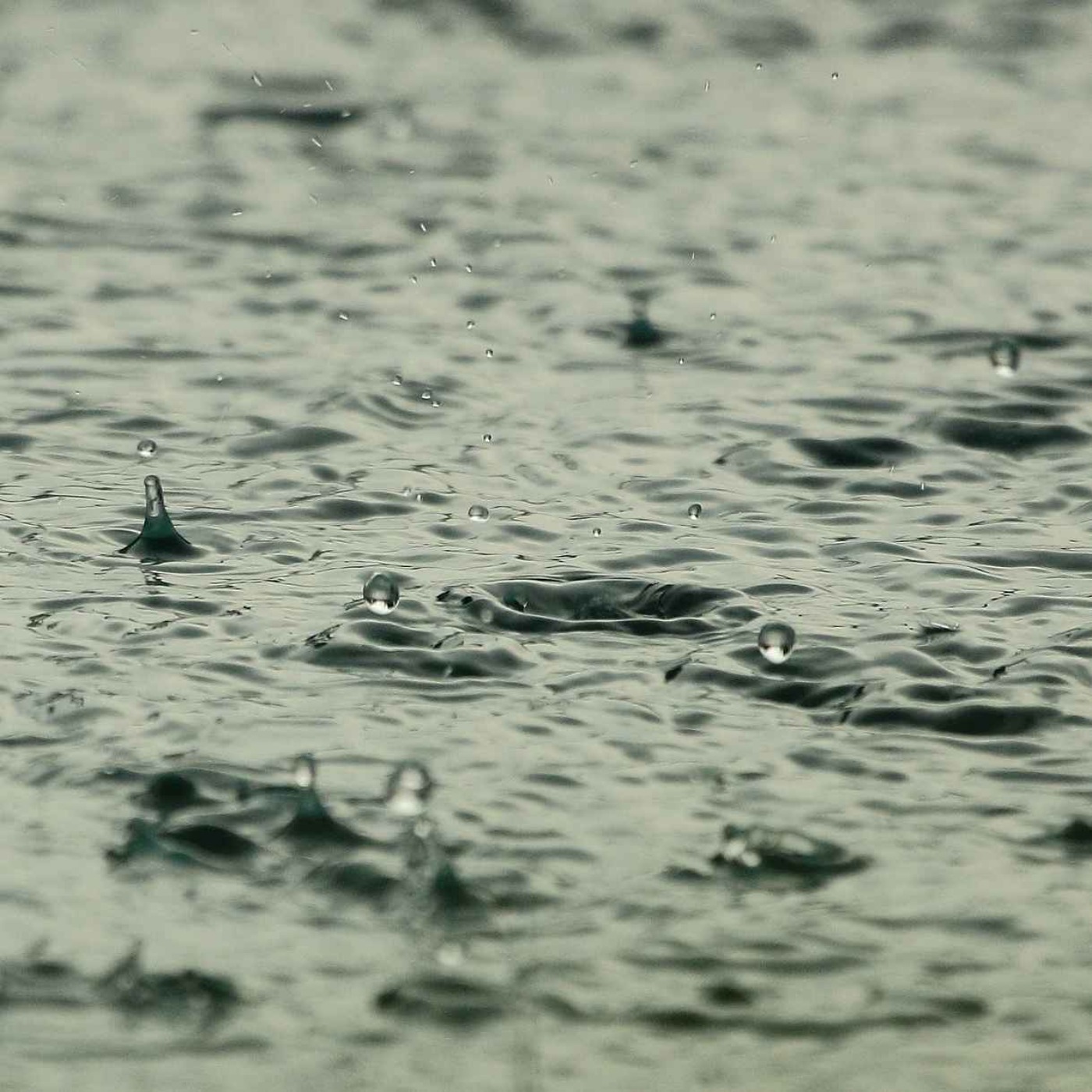 Rainy Afternoon Study Room Ambience with Relaxing Light Rain Sounds / Rain Ambience