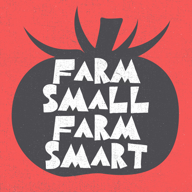 The Surprising Truth About Carrots: Are They Really Profitable for Farmers? (MFB 16)