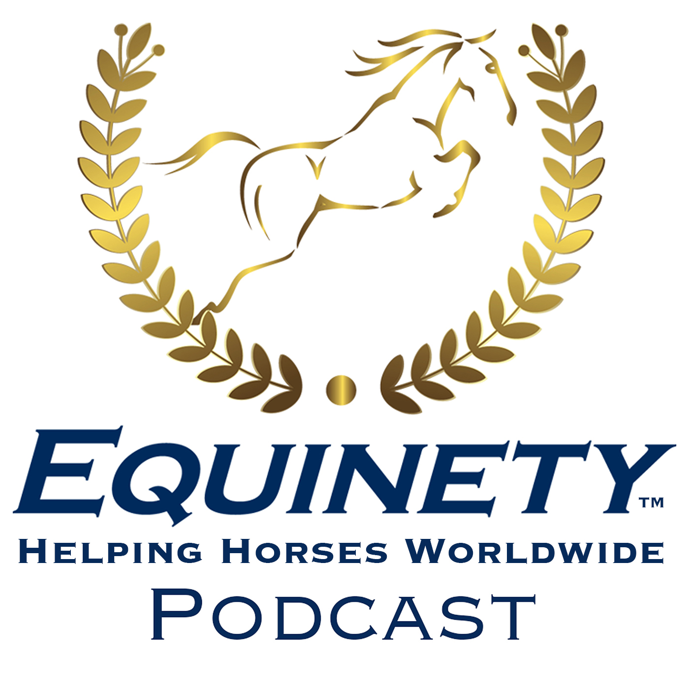 Team Equinety Podcast