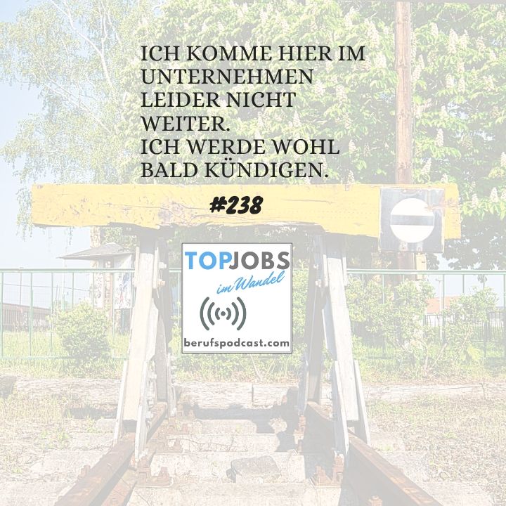 TopJobs im Wandel - DER Berufspodcast mit Christoph Stelzhammer