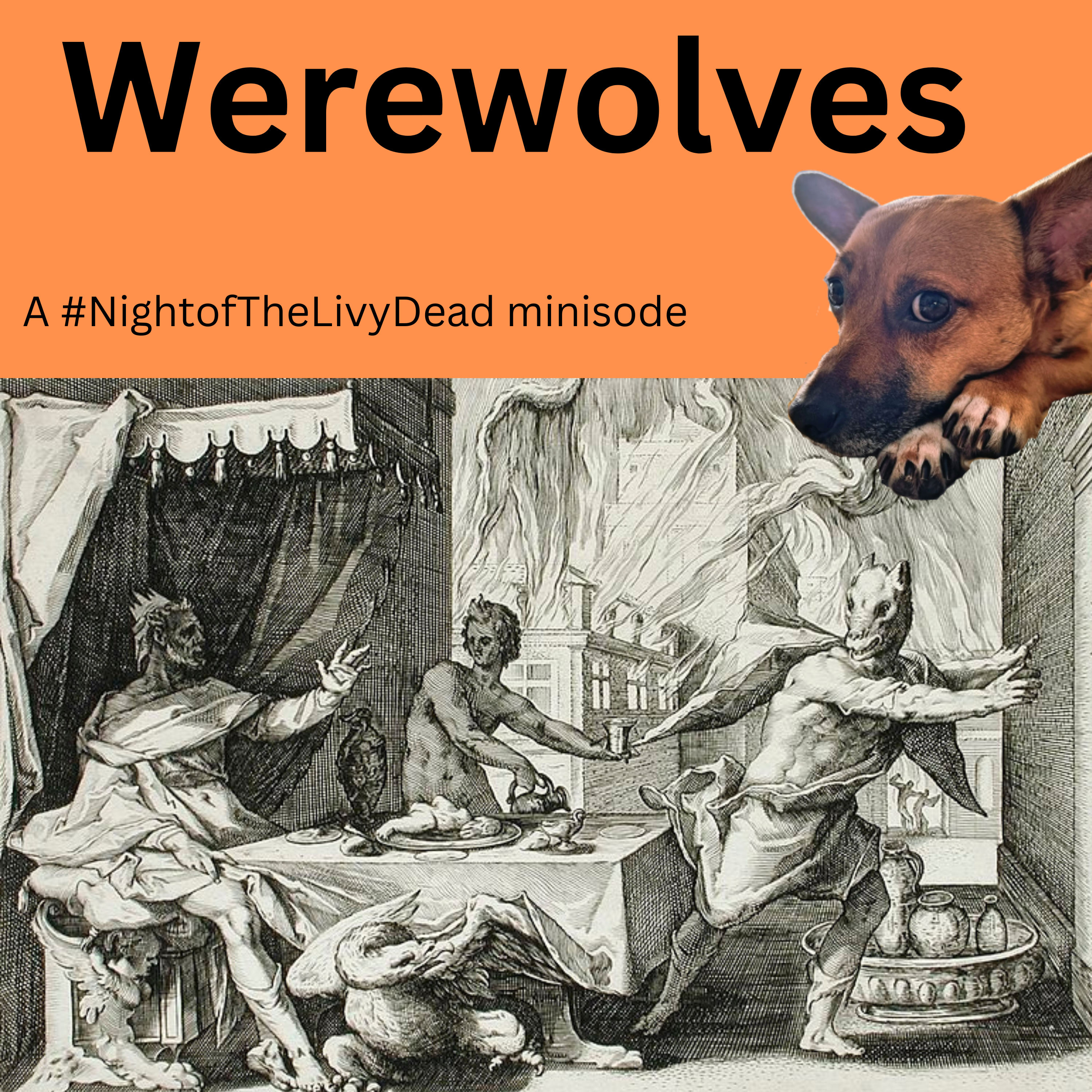 Ancient History Hound