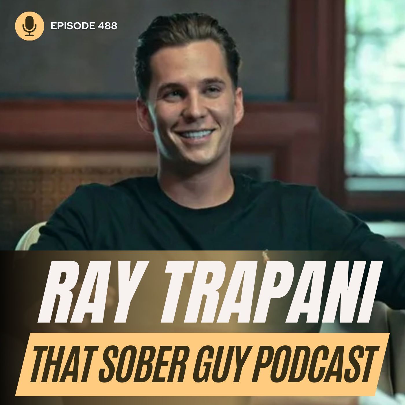 That Sober Guy Podcast
