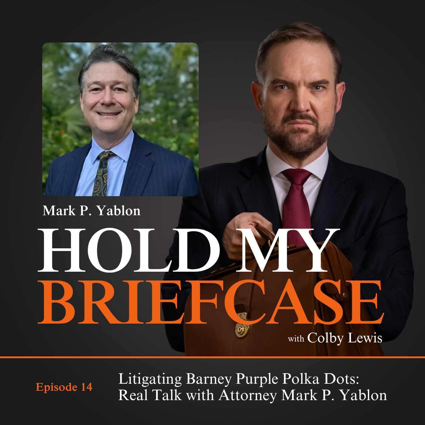 Hold My Briefcase: The Legal Lowdown for Everyday People