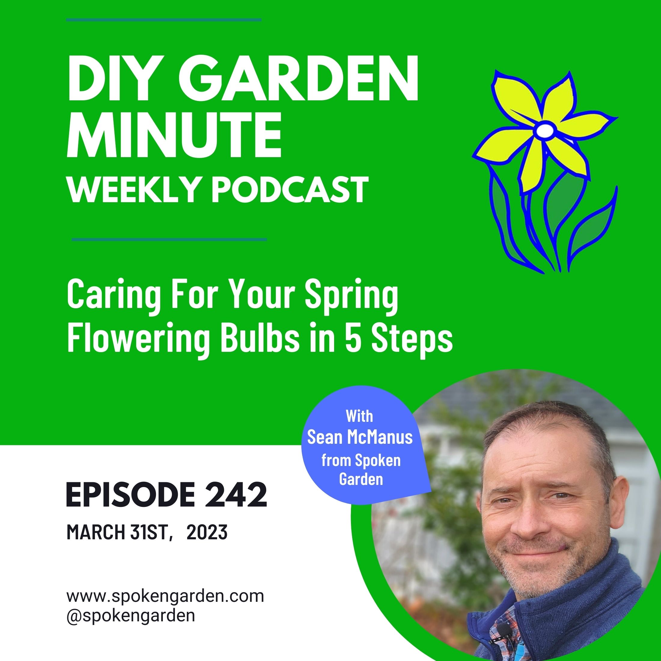 Caring For Your Spring Flowering Bulbs in 5 Steps - DIY Garden Minute