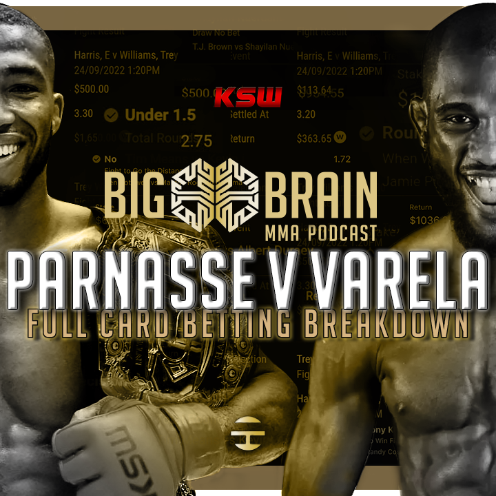 Big Brain MMA Podcast