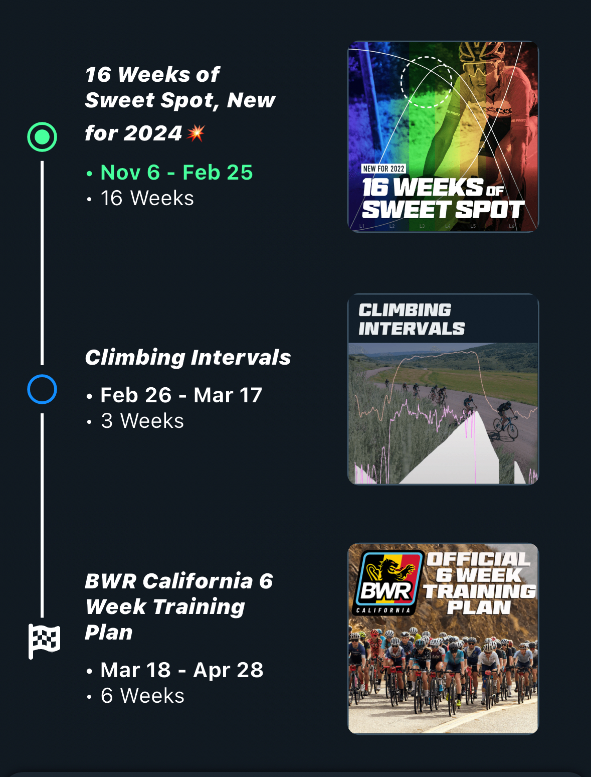 Custom Training Plan Builder