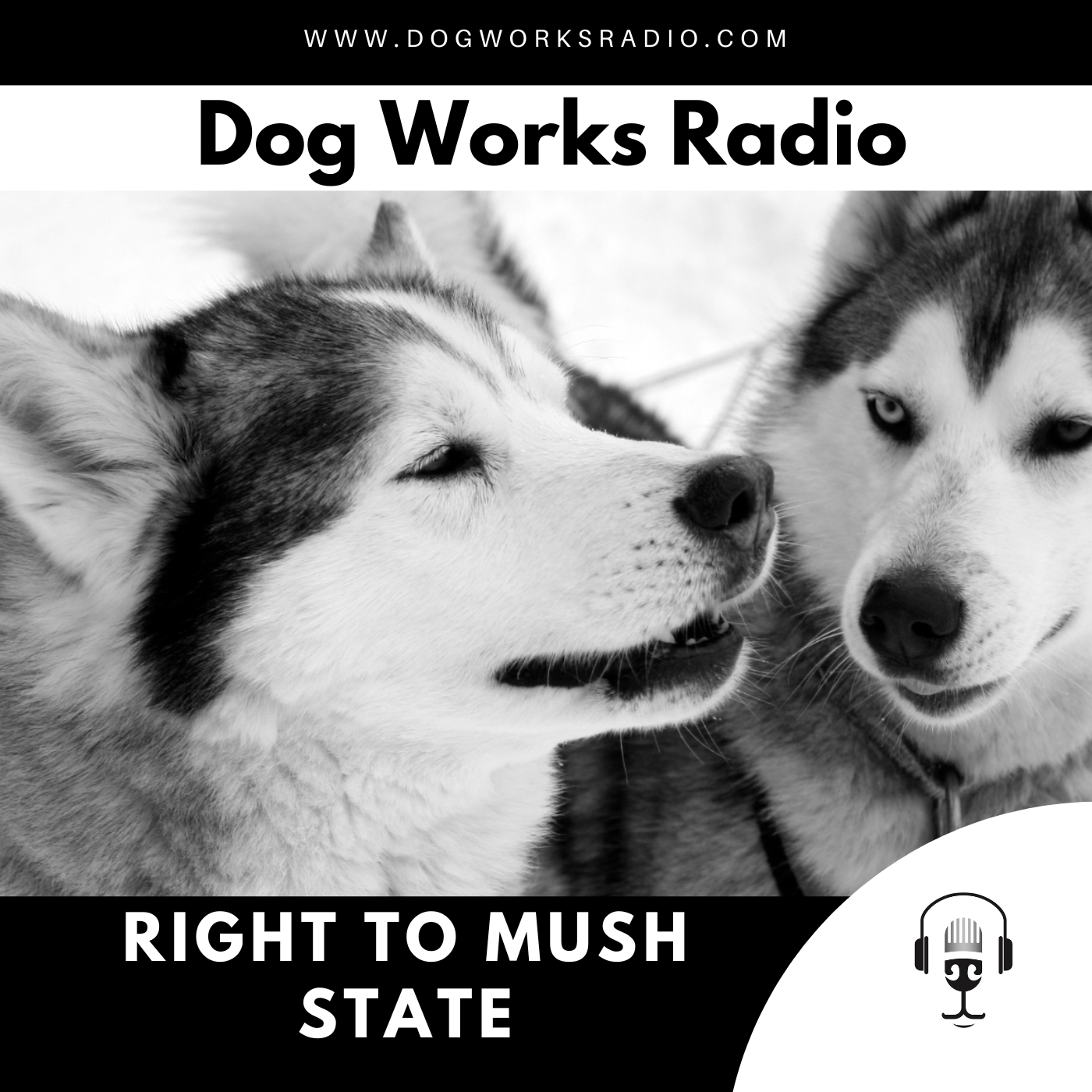 Dog Works Radio