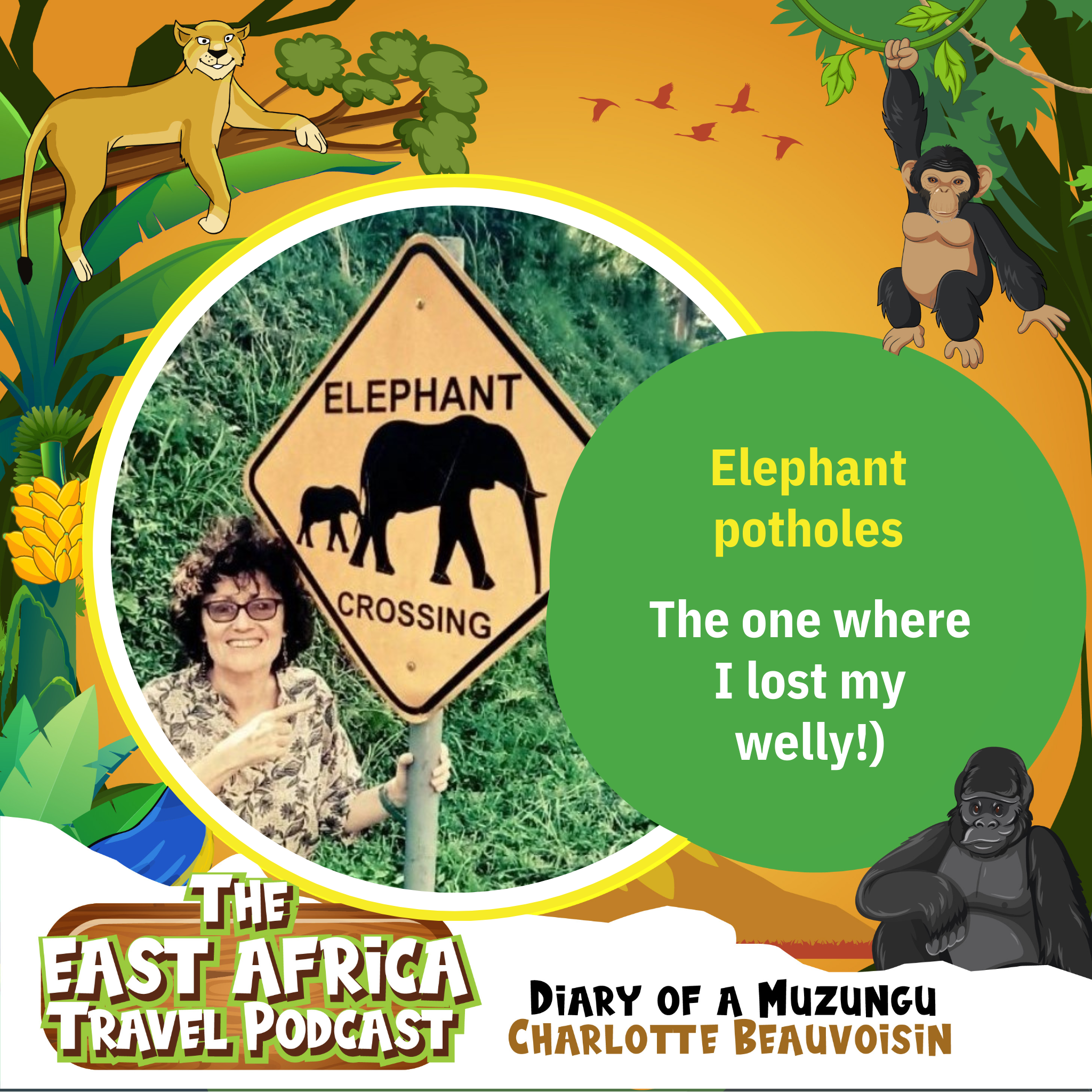 The East Africa Travel Podcast by Diary of a Muzungu