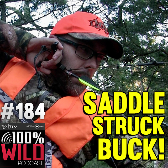 The 100% Wild Podcast