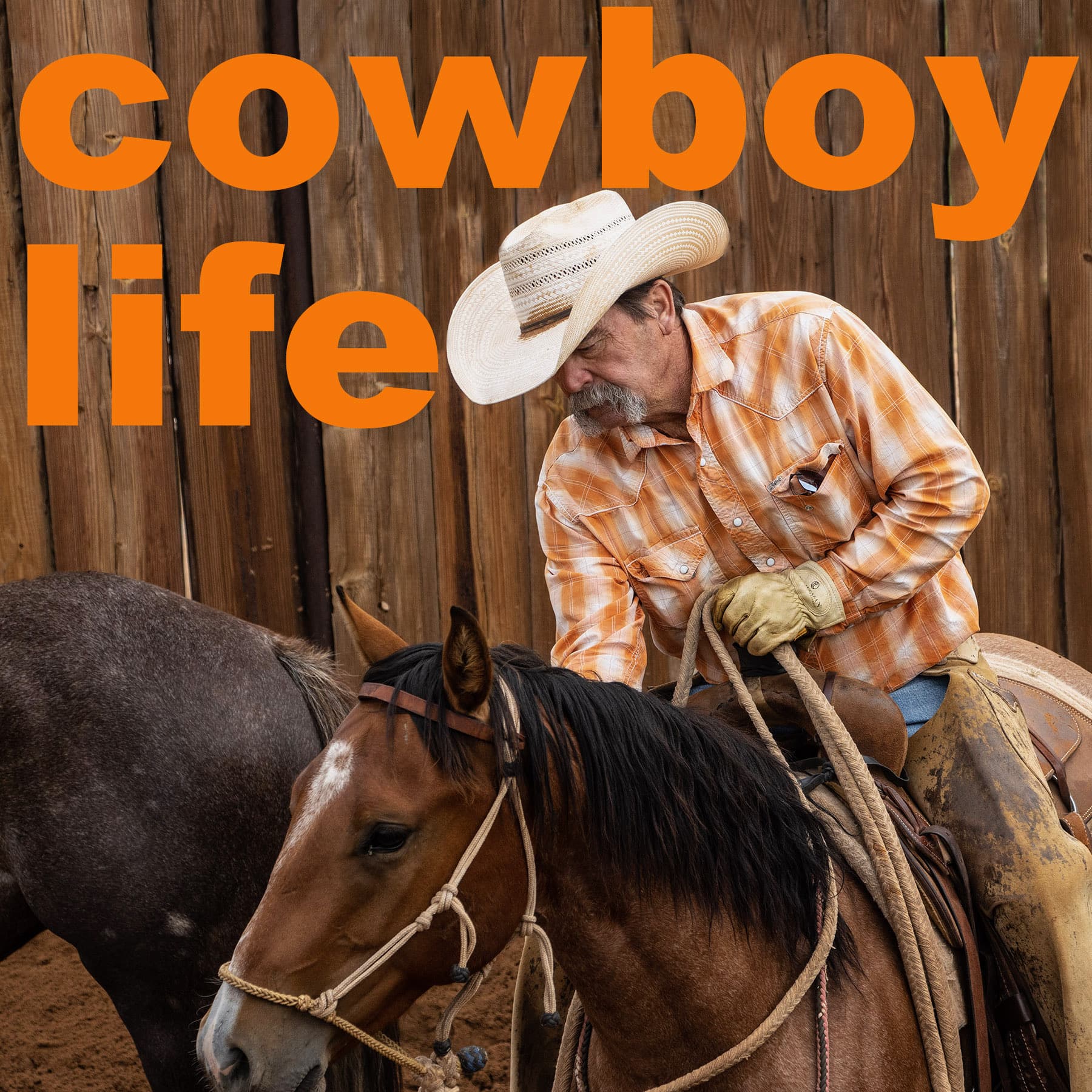 Cowboy Life