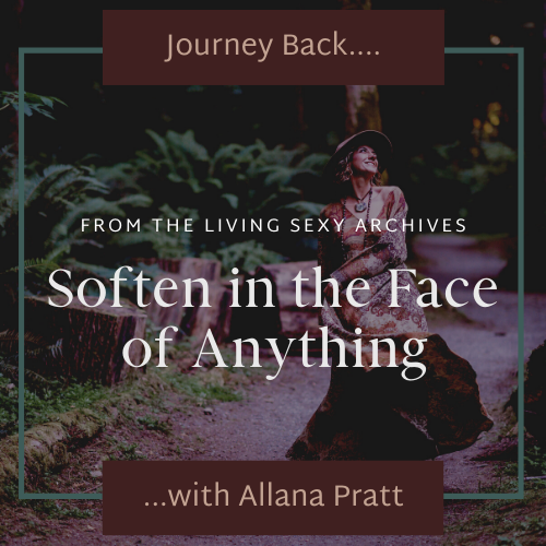 Journey Back | Soften in the Face of Anything