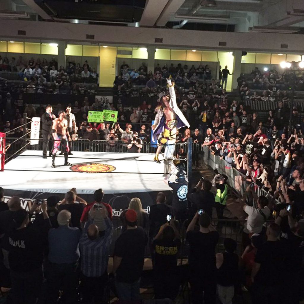 Wrestleview Media
