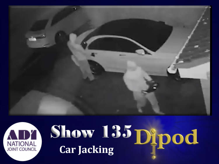 Dipod - The Driving Instructors Podcast