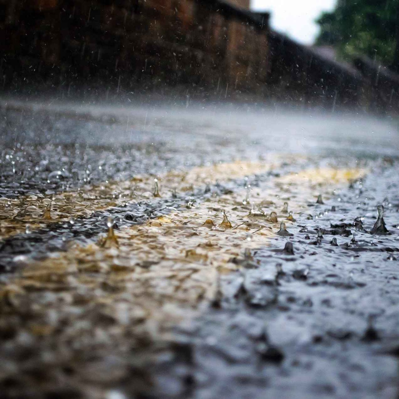 8 Hours of Soft Rain for Deep Sleep, Meditation, Yoga, Relax, Calm, Cure Insomnia