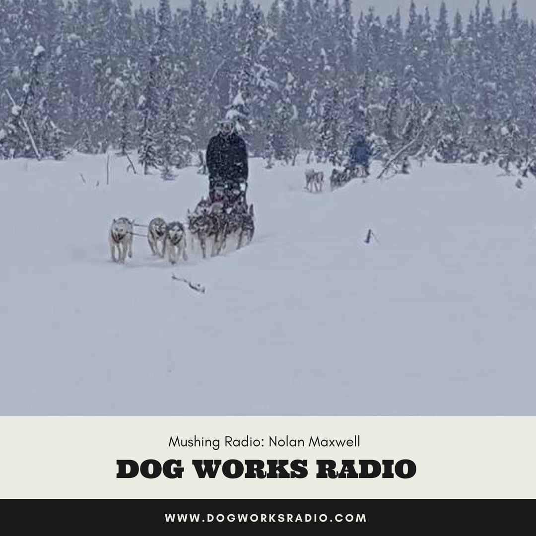 Mushing Radio: Nolan Maxwell