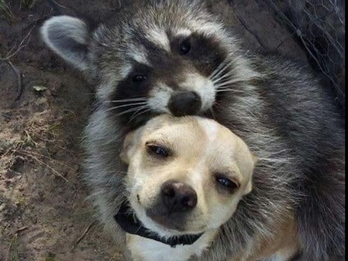 Surprise Unmakes the World Surprise Unmakes the World