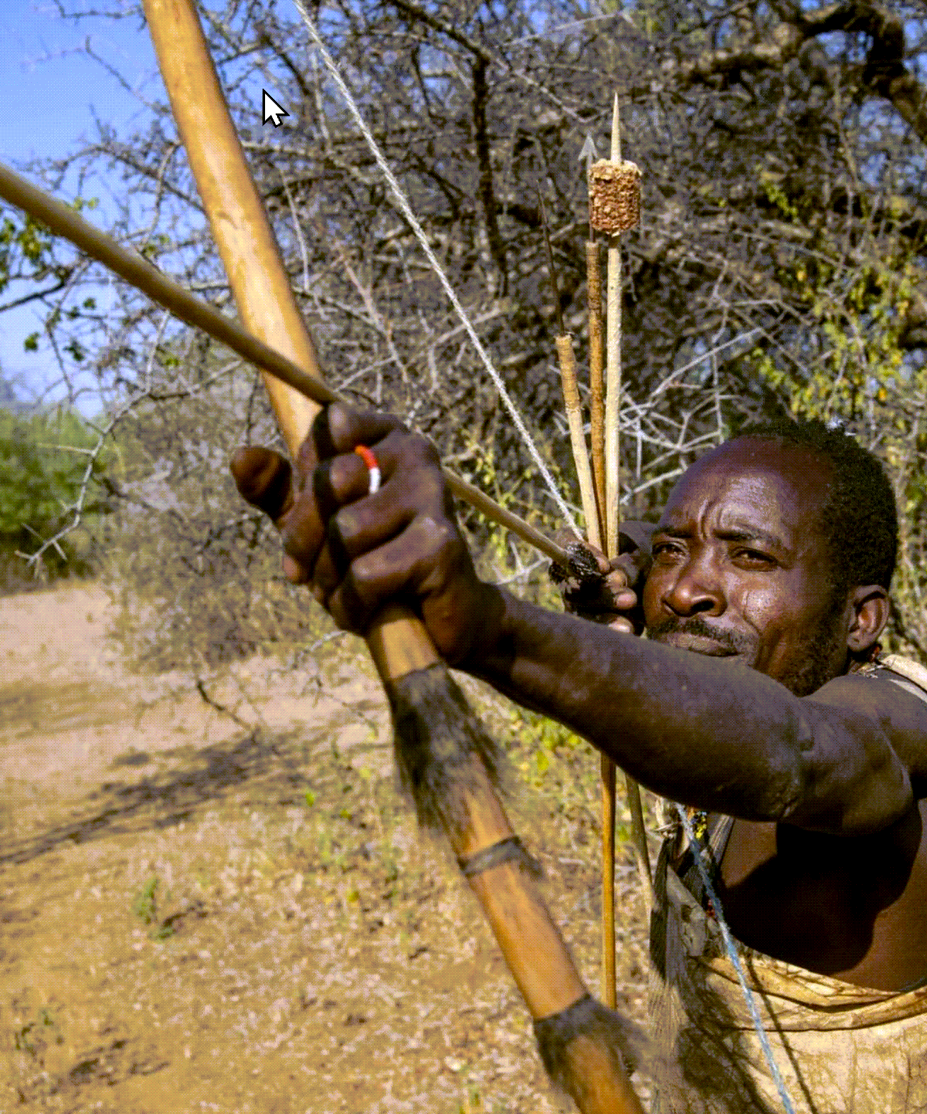 Adventure With Africa Kenya Safaris