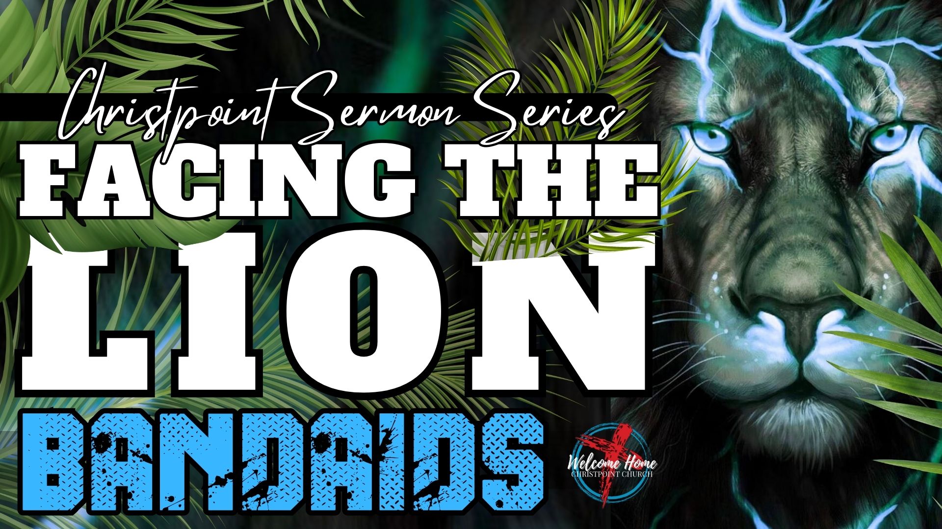 Facing The Lion -Bandaids-